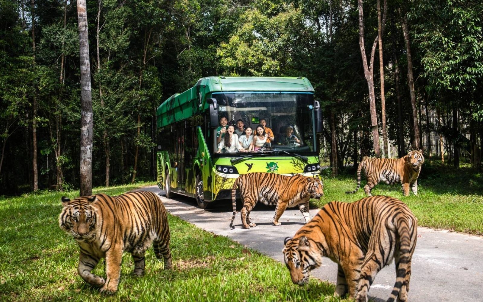 珍珠野生動物園 Safari